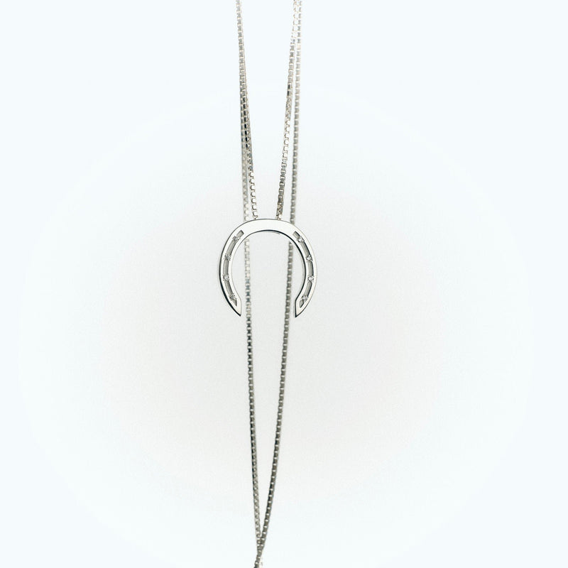 A delicate silver necklace with a horseshoe pendant, featuring small diamonds embedded in the design. The chain is elegantly draped, showing a clasp at the bottom, set against a light background.