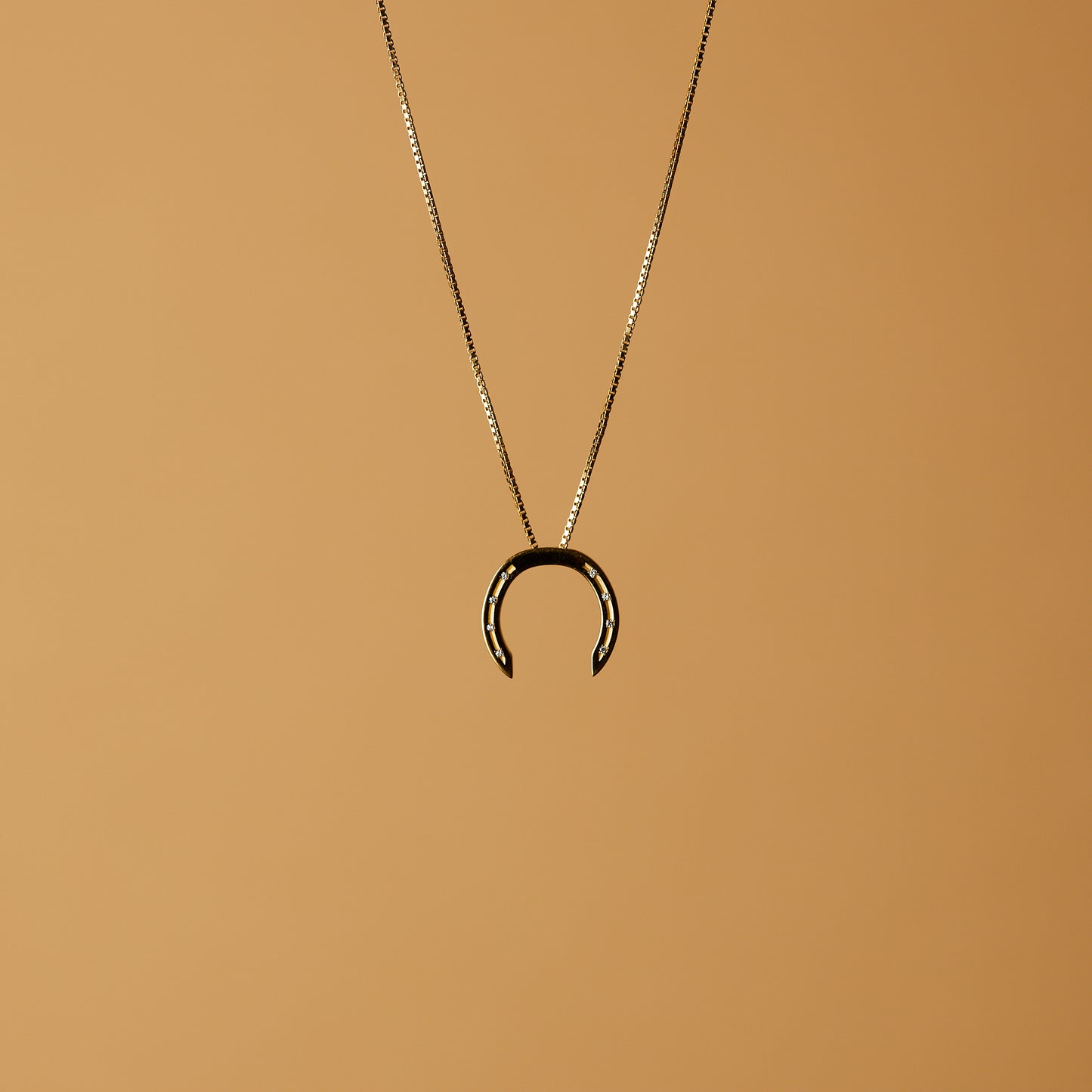 A delicate gold necklace with a horseshoe pendant, featuring small diamonds embedded in the holes, set against a light background.